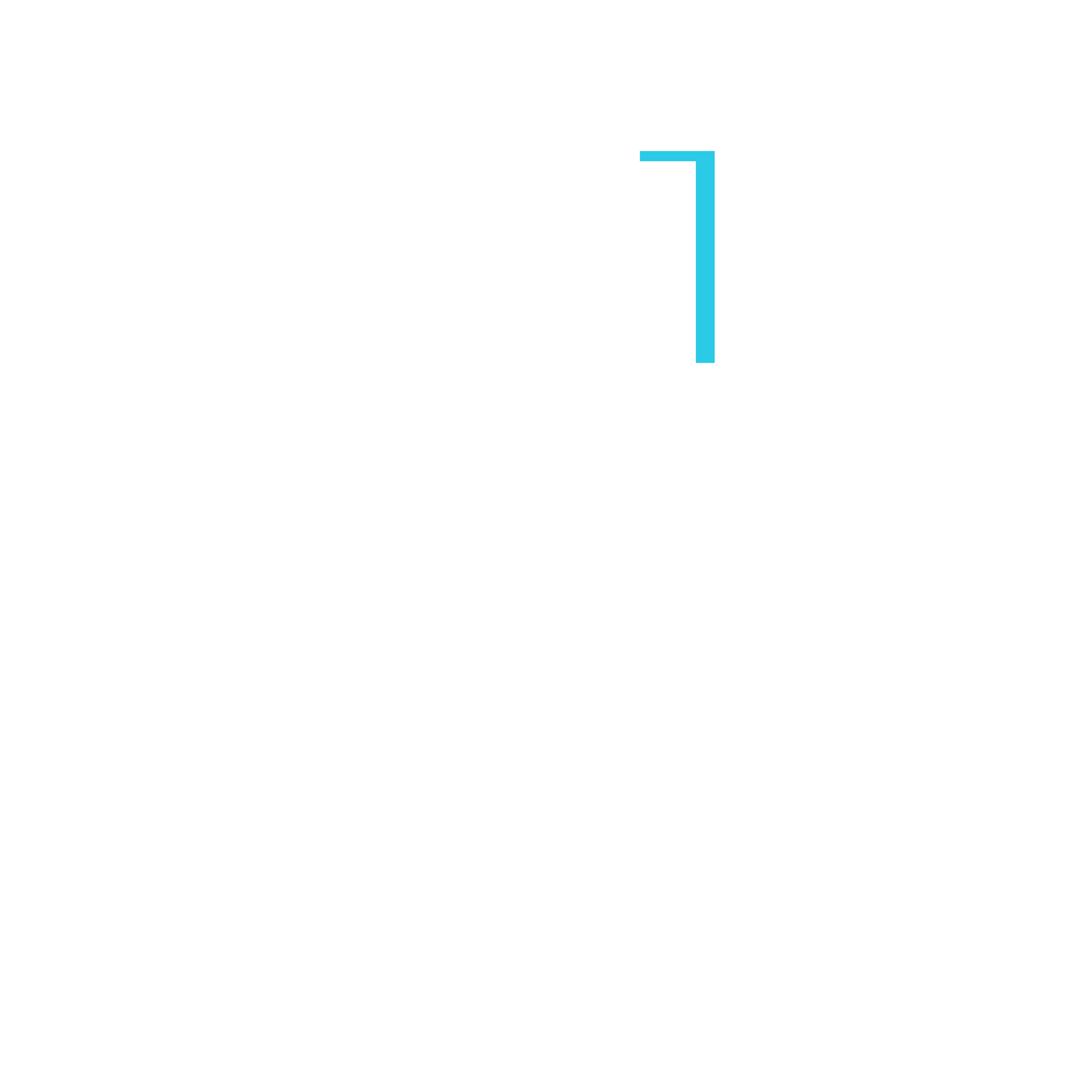 Nabo Capital Logo